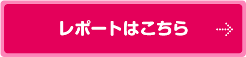 レポートはこちら