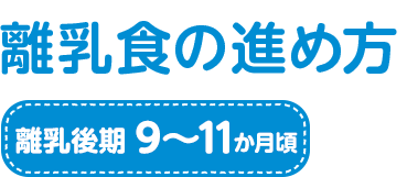 離乳食の進め方 離乳後期　9～11か月頃