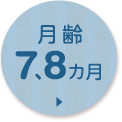 月齢7、8か月