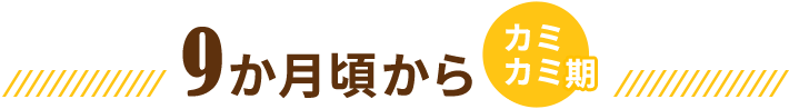 12か月頃から パクパク期