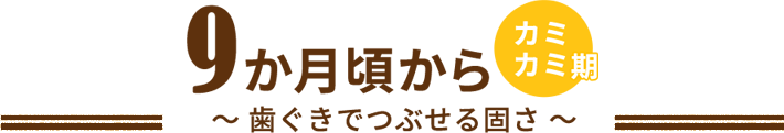 9か月頃から カミカミ期～ 歯ぐきでつぶせる固さ ～