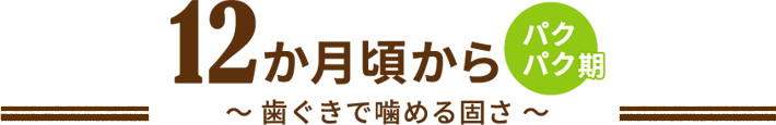 12か月頃から パクパク期～ 歯ぐきで噛める固さ ～